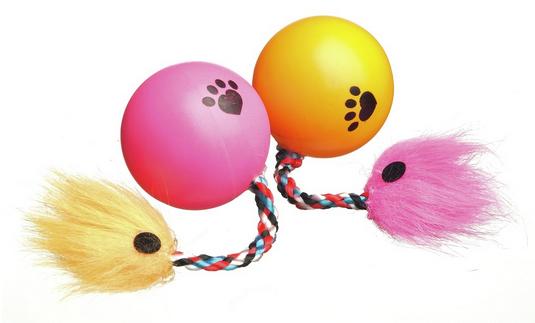 Camon Ball with Rope